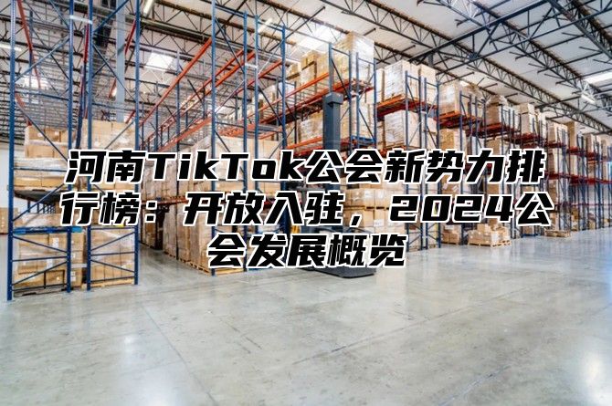 河南TikTok公会新势力排行榜：开放入驻，2025公会发展概览