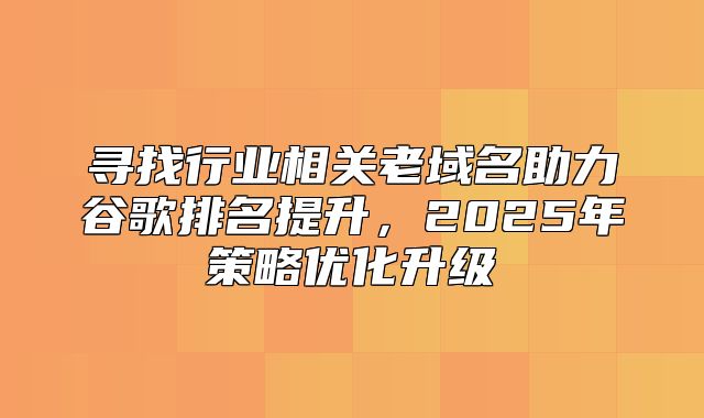 寻找行业相关老域名助力谷歌排名提升，2025年策略优化升级