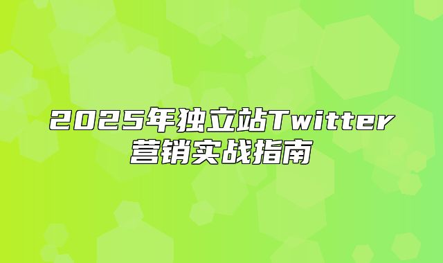 2025年独立站Twitter营销实战指南