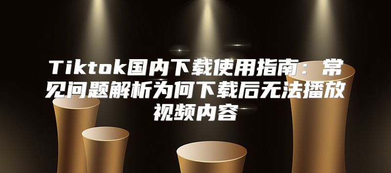 Tiktok国内下载使用指南：常见问题解析为何下载后无法播放视频内容