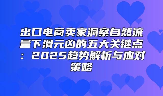 出口电商卖家洞察自然流量下滑元凶的五大关键点：2025趋势解析与应对策略
