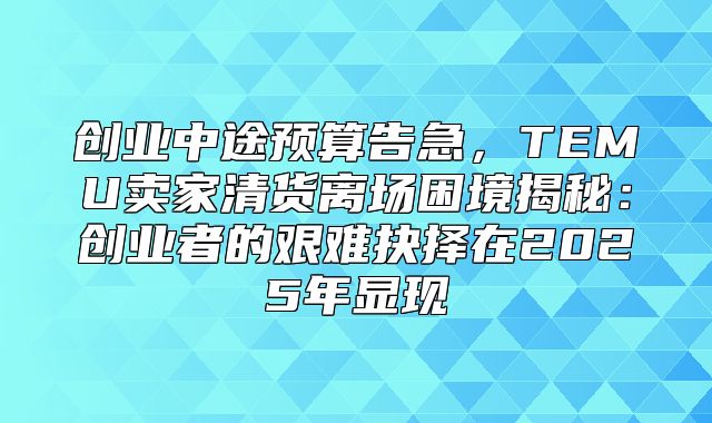 创业中途预算告急，TEMU卖家清货离场困境揭秘：创业者的艰难抉择在2025年显现