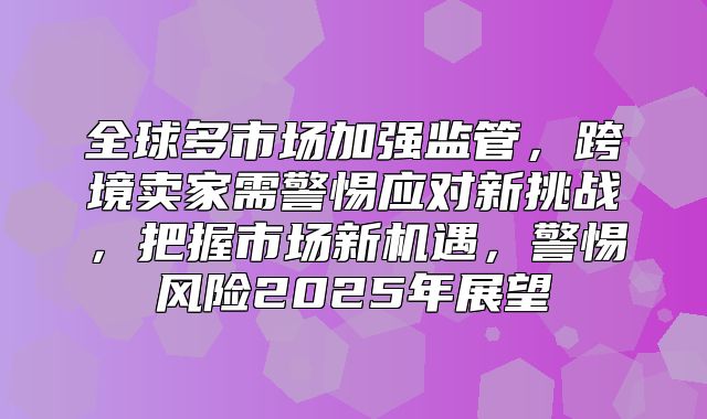 全球多市场加强监管，跨境卖家需警惕应对新挑战，把握市场新机遇，警惕风险2025年展望