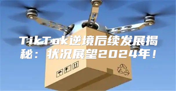 TikTok逆境后续发展揭秘：状况展望2025年！