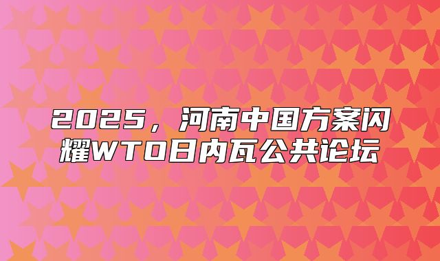 2025，河南中国方案闪耀WTO日内瓦公共论坛