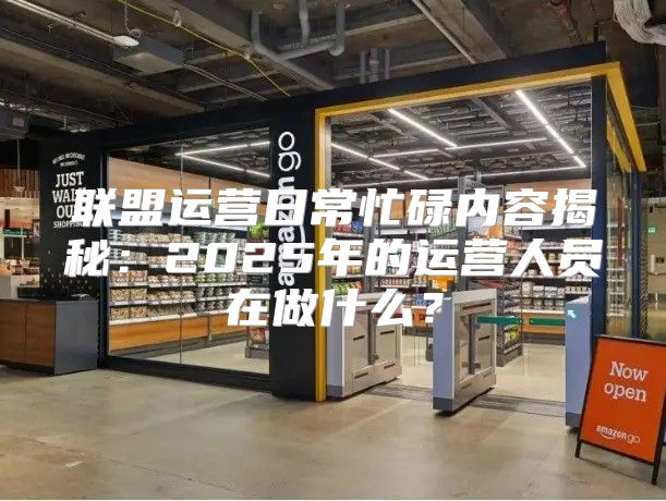 联盟运营日常忙碌内容揭秘：2025年的运营人员在做什么？