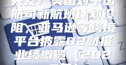 突发！美国对中国航司新航班计划设阻，亚马逊等跨境平台披露Q2财报业绩概览2025年