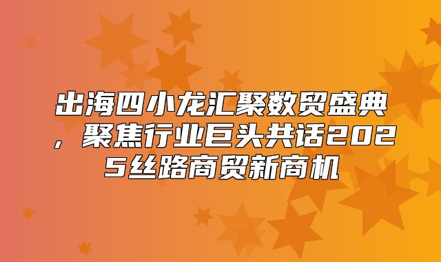 出海四小龙汇聚数贸盛典，聚焦行业巨头共话2025丝路商贸新商机