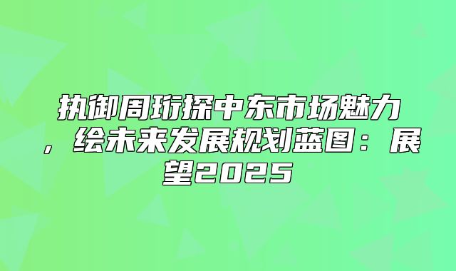 执御周珩探中东市场魅力，绘未来发展规划蓝图：展望2025