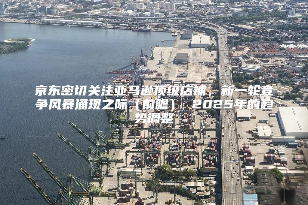 京东密切关注亚马逊顶级店铺，新一轮竞争风暴涌现之际前瞻 2025年的趋势调整