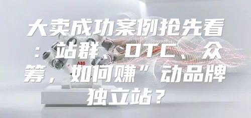 大卖成功案例抢先看：站群、DTC、众筹，如何赚”动品牌独立站？
