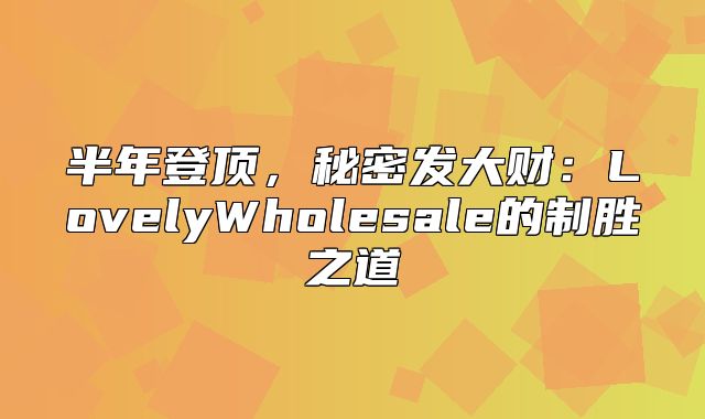 半年登顶，秘密发大财：LovelyWholesale的制胜之道