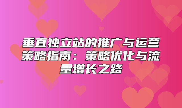 垂直独立站的推广与运营策略指南：策略优化与流量增长之路