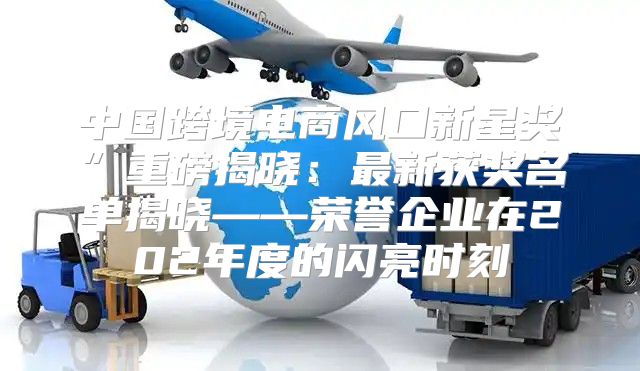 中国跨境电商风口新星奖”重磅揭晓：最新获奖名单揭晓——荣誉企业在202年度的闪亮时刻