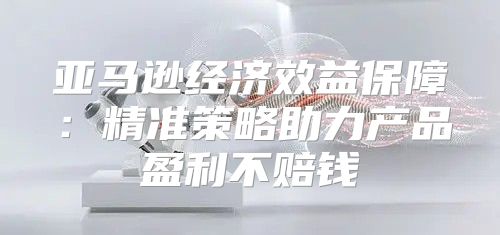 亚马逊经济效益保障：精准策略助力产品盈利不赔钱
