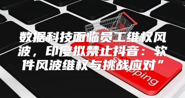 数据科技面临员工维权风波，印度拟禁止抖音：软件风波维权与挑战应对”