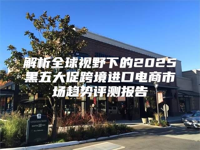 解析全球视野下的2025黑五大促跨境进口电商市场趋势评测报告