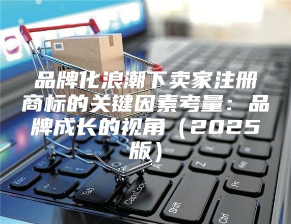 品牌化浪潮下卖家注册商标的关键因素考量：品牌成长的视角2025版