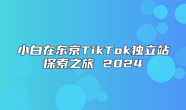 小白在东京TikTok独立站探索之旅 2025