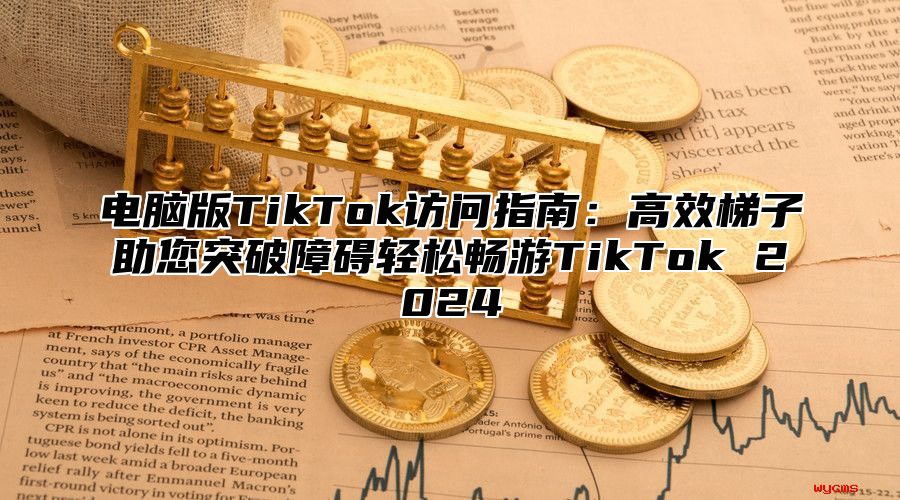 电脑版TikTok访问指南：高效梯子助您突破障碍轻松畅游TikTok 2025