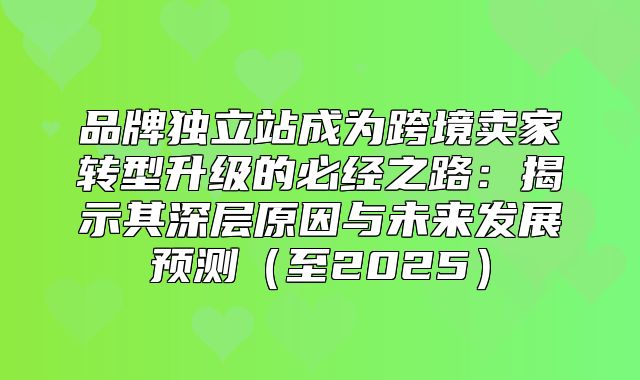 品牌独立站成为跨境卖家转型升级的必经之路：揭示其深层原因与未来发展预测至2025