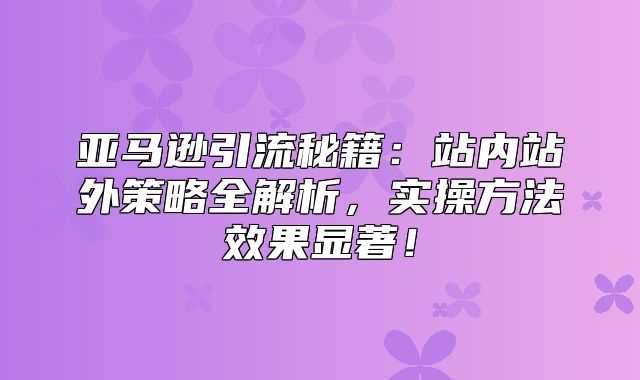 亚马逊引流秘籍：站内站外策略全解析，实操方法效果显著！
