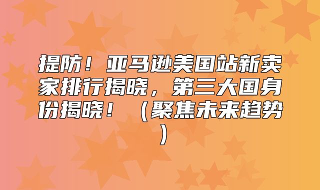 提防！亚马逊美国站新卖家排行揭晓，第三大国身份揭晓！聚焦未来趋势