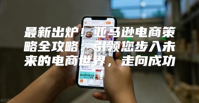 最新出炉！亚马逊电商策略全攻略：引领您步入未来的电商世界，走向成功！