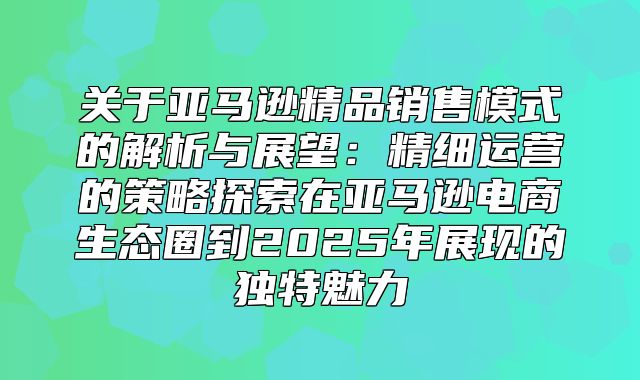 关于亚马逊精品销售模式的解析与展望：精细运营的策略探索在亚马逊电商生态圈到2025年展现的独特魅力