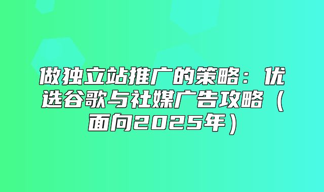 做独立站推广的策略：优选谷歌与社媒广告攻略面向2025年