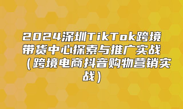 2025深圳TikTok跨境带货中心探索与推广实战跨境电商抖音购物营销实战