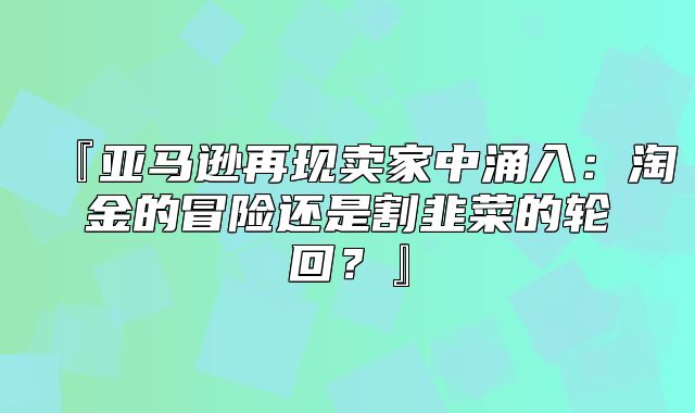 『亚马逊再现卖家中涌入：淘金的冒险还是割韭菜的轮回？』