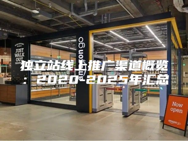 独立站线上推广渠道概览：2020-2025年汇总