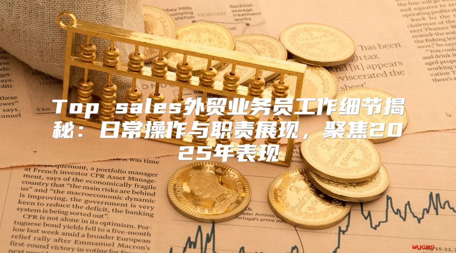 Top sales外贸业务员工作细节揭秘：日常操作与职责展现，聚焦2025年表现