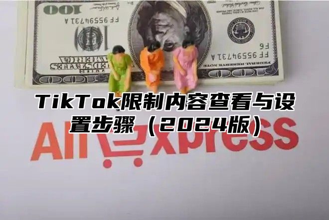TikTok限制内容查看与设置步骤2025版