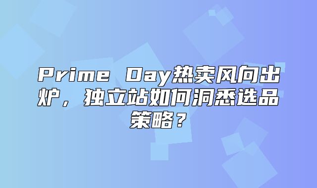 Prime Day热卖风向出炉，独立站如何洞悉选品策略？