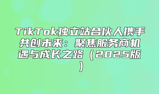 TikTok独立站合伙人携手共创未来：聚焦服务商机遇与成长之路2025版