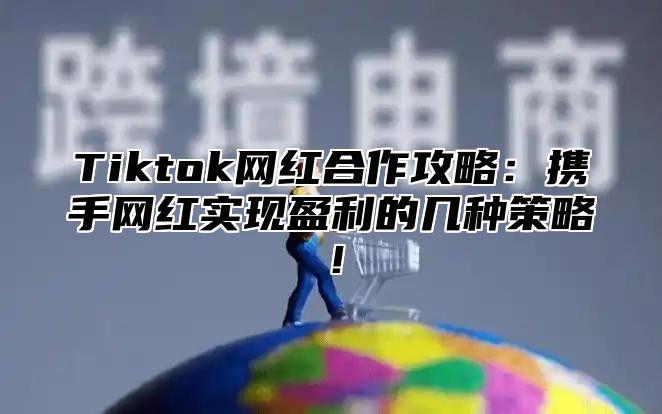 Tiktok网红合作攻略：携手网红实现盈利的几种策略！