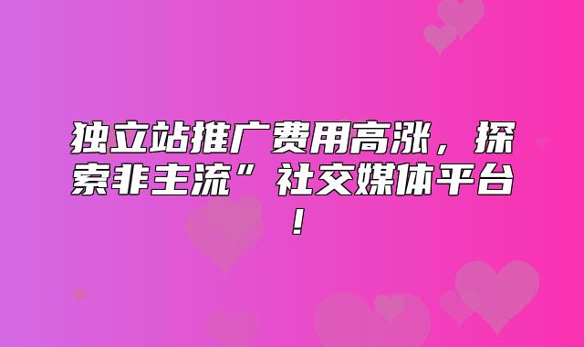 独立站推广费用高涨，探索非主流”社交媒体平台！