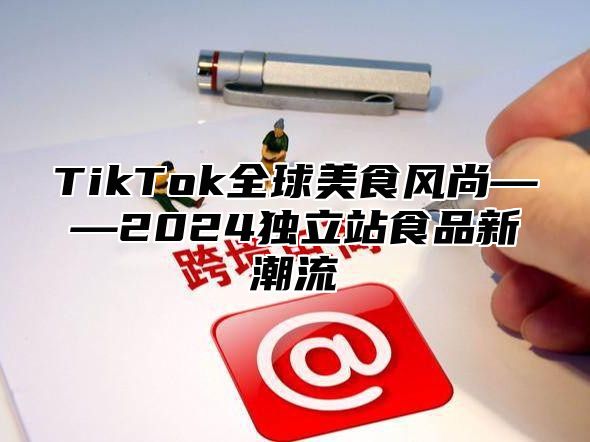 TikTok全球美食风尚——2025独立站食品新潮流