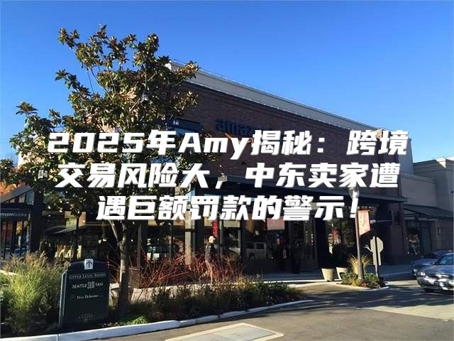 2025年Amy揭秘：跨境交易风险大，中东卖家遭遇巨额罚款的警示！