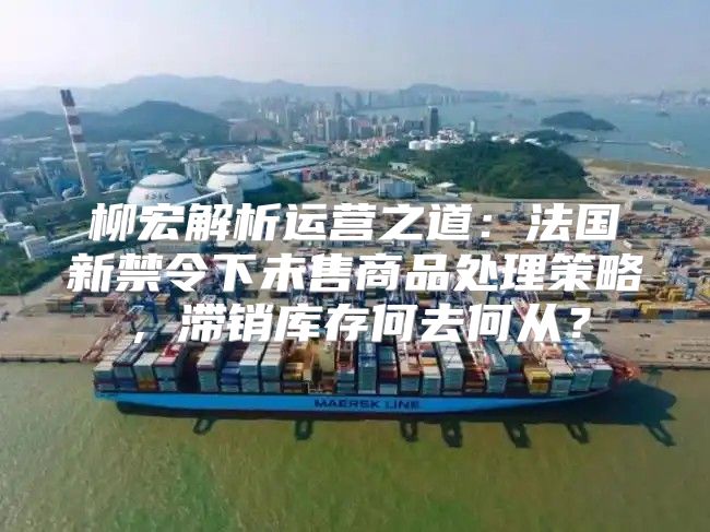 柳宏解析运营之道：法国新禁令下未售商品处理策略，滞销库存何去何从？
