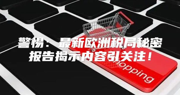警惕：最新欧洲税局秘密报告揭示内容引关注！
