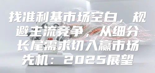 找准利基市场空白，规避主流竞争，从细分长尾需求切入赢市场先机：2025展望