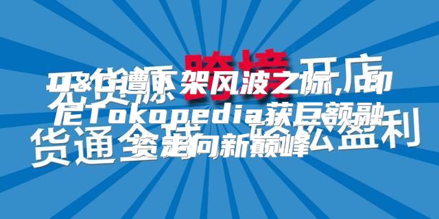 D&G遭下架风波之际，印尼Tokopedia获巨额融资走向新巅峰