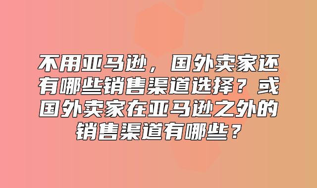 不用亚马逊，国外卖家还有哪些销售渠道选择？或国外卖家在亚马逊之外的销售渠道有哪些？