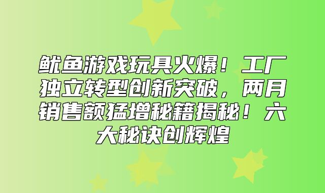 鱿鱼游戏玩具火爆！工厂独立转型创新突破，两月销售额猛增秘籍揭秘！六大秘诀创辉煌