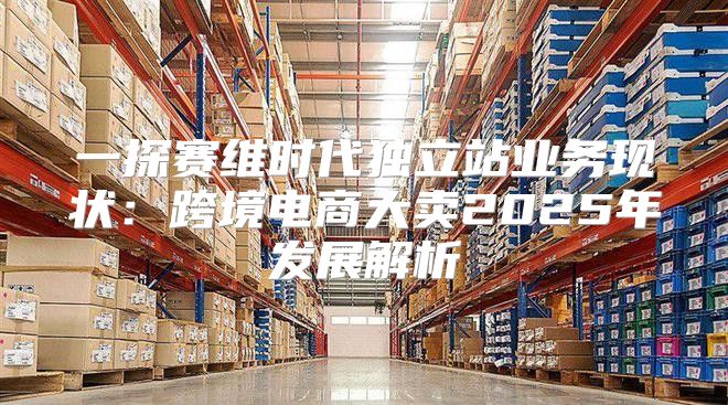 一探赛维时代独立站业务现状：跨境电商大卖2025年发展解析