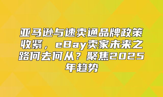 亚马逊与速卖通品牌政策收紧，eBay卖家未来之路何去何从？聚焦2025年趋势