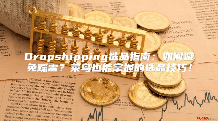 Dropshipping选品指南：如何避免踩雷？菜鸟也能掌握的选品技巧！
